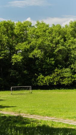 A goal soccer with a incredible green grass. High quality photoの写真素材