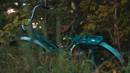 An old Soviet blue bicycle lies in the thick grassの写真素材