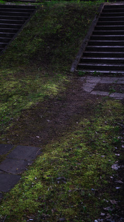 An abandoned place. The steps are overgrown with grass from time to time