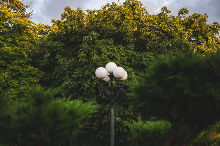 A street lamp between the crown of a tree. Outdoor Garden