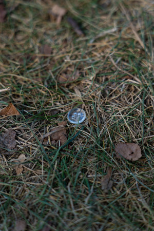 A transparent little button got lost in the grass