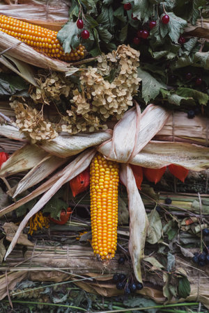 Autumn background from the gifts of nature. Harvest background, Thanksgiving dayの写真素材