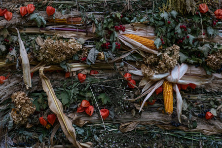 Autumn background from the gifts of nature. Harvest background, Thanksgiving dayの写真素材