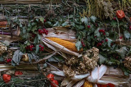 Autumn background from the gifts of nature. Harvest background, Thanksgiving dayの写真素材