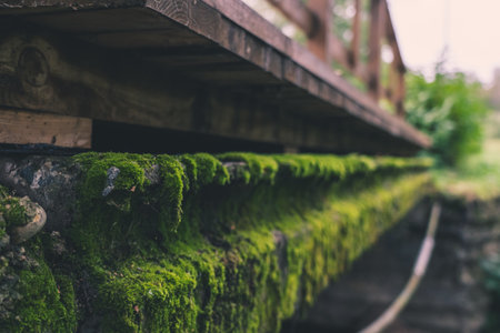 The concrete bridge over the river was covered with thick, green moss. Mossの写真素材