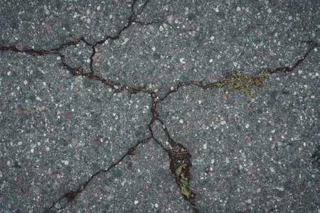 Cracked asphalt background. Asphalt road top view. The road backgroundの写真素材