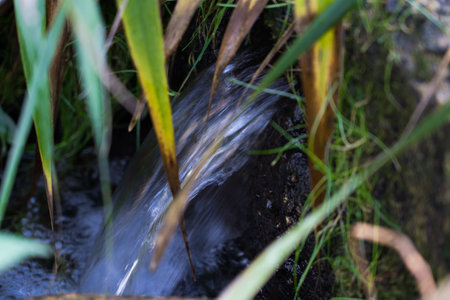 A small waterfall in the park. A stream in the parkの写真素材