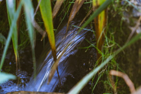 A small waterfall in the park. A stream in the parkの写真素材