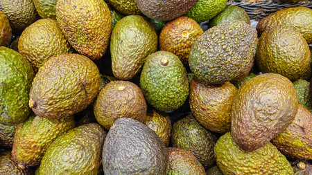 Avocado on the counter. Avocado in the store. Avocado backgroundの写真素材