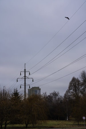 Wires of power lines on the background of the sky. Minimalism, birds in the sky. High quality photo