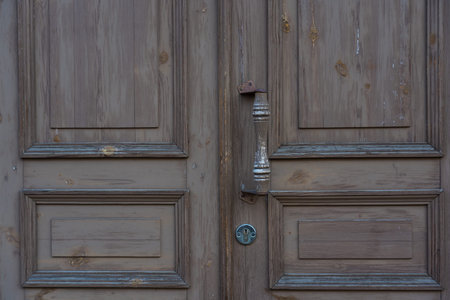 Old, vintage, wooden doors. Door background, close-up. High quality photo