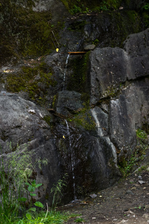 Mountain drinking spring flows, Georgia. High quality photoの写真素材