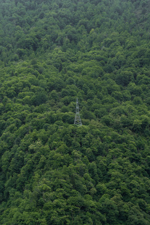 A lonely power line pole in the mountains in the forest, minimalism. Georgia. High quality photo