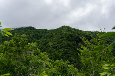 thick clouds hung over the green mountains of Georgia. High quality photo