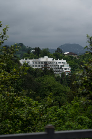 The white hotel building in the distance in the park, Batumi. High quality photoの写真素材