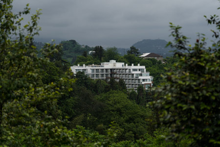 The white hotel building in the distance in the park, Batumi. High quality photoの写真素材