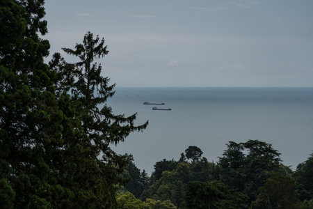 Two cargo ships are sailing far away on the Black Sea, Georgia, botanical garden. High quality photoの写真素材