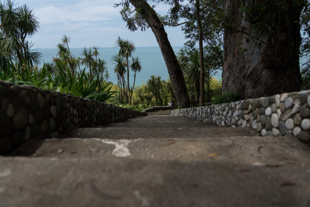 Steps down in the Botanical Garden of Georgia. View of the Black Sea. High quality photo