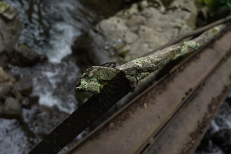 Wooden, rotten handrails of a makeshift bridge
