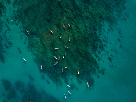 Aerial drone shot view of surfers in pacific ocean near Waikiki beach, Honolulu, Hawaiiの写真素材