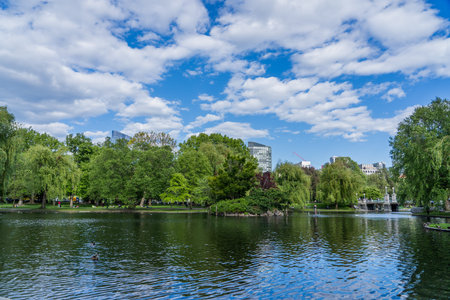 White dramatic clouds over the lake in Boston Public Garden in Summer timeの写真素材