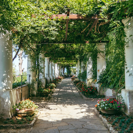 Beautiful floral passage with columns and plants overhead in garden in Anacapri, capri island, Italy