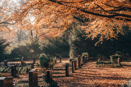 Tomb stone cross in graveyeard in Ohlsdorf Cemetery during fall in Hamburg cityの写真素材