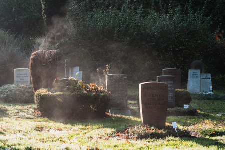 Hamburg, Germany - November 9, 2019: Grave stone in Ohlsdorf Cemetery in the morning in Hamburg...