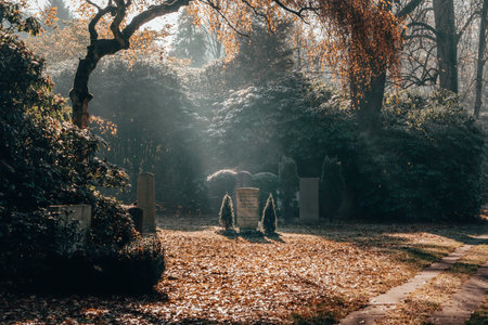 Monring sun shines over tomb stone in Ohlsdorf Cemetery during fall, Hamburg cityの写真素材