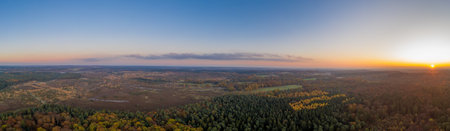 Aerial panoramic drone shot of Luneberg Heide forests pine trees forests during sunset in autumn