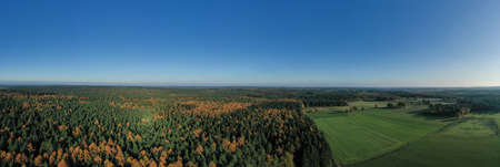Aerial panoramic drone shot of Luneberg Heide forests pine trees in autumn timeの写真素材