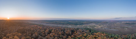 Aerial panoramic drone shot of Luneberg Heide forests pine trees forests woodland during sunset in autumnの写真素材