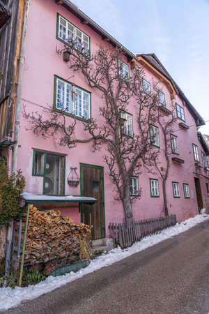 Trees grow along facade of pink houses in Hallstatt, upper Austrian snowy village in winterの写真素材