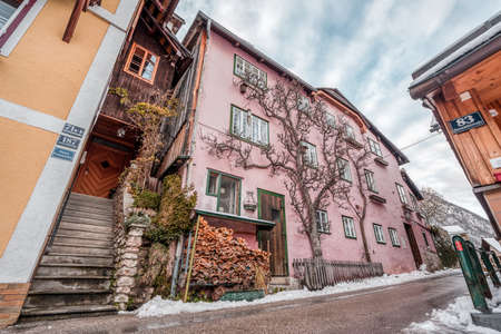 Trees grow along facade of pink houses in Hallstatt, Austrian snowy village in winterの写真素材