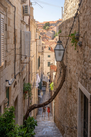 Dubrovnik, Croatia - Aug 22, 2020: Stone stairs to old town with old tree branch in summer morningのeditorial素材