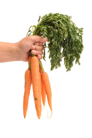 Hand holding carrotsの写真素材