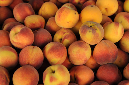 Nectarines
