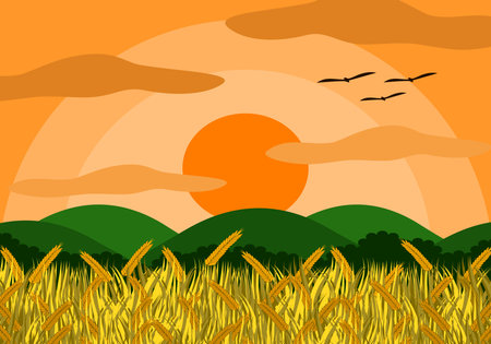 Vector illustration of a rice field with rice grains ready to accumulate. Beyond, there are trees and mountains. At sunset, the atmosphere is good. It is a beautiful natural picture.のイラスト素材