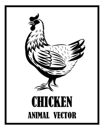 Vector Line Art Illustration logo of a chicken. It is standing. It is black and white.のイラスト素材