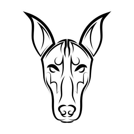 Black and white line art of Doberman Pinscher dog head. Good use for symbol, mascot, icon, avatar, tattoo, T Shirt design, logo or any design you want.のイラスト素材