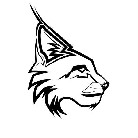 Black and white line art of wildcat head.のイラスト素材