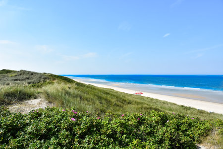 Beach section on Sylt at low tide with dunes and the North Sea