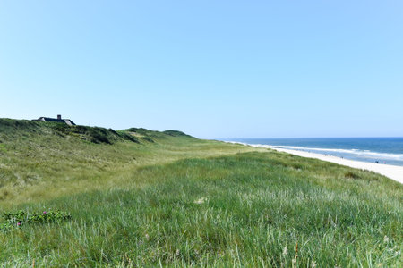 Dune landscape on the island of Sylt with the seaの写真素材