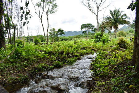 On the grounds of the Walib Ha waterfalls in Mexicoの写真素材