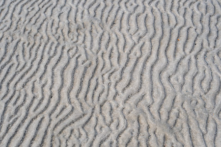 Beach formation on St. Peter Ording shaped by wind and water