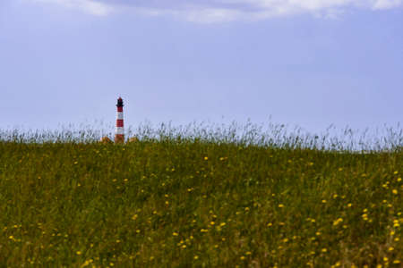 WESTERHEVER, GERMANY June 24, 2020 The famous lighthouse in Westerhever with a flower meadowのeditorial素材