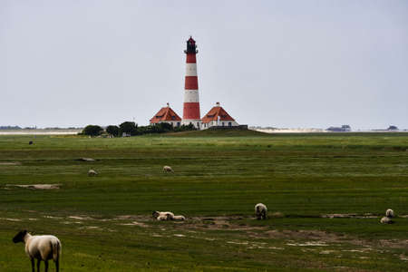 WESTERHEVER, GERMANY June 24, 2020 The famous lighthouse in Westerhever with sheepのeditorial素材