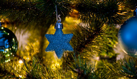 light blue glittering poinsettia with Christmas balls on an illuminated Christmas treeの写真素材