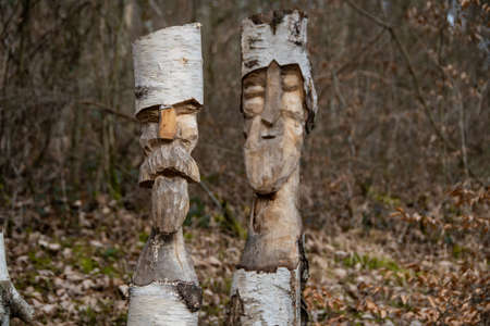 Funny carved faces in sawn-off birch treesの写真素材