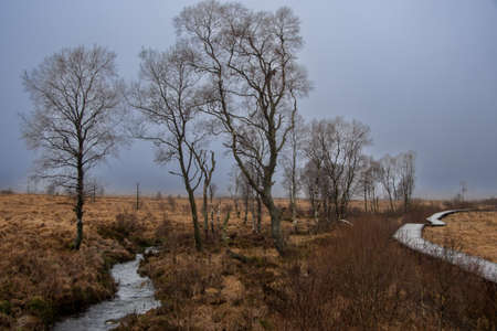 Landscape photo of the moorland in the nature reserve "High Fens" in winterの写真素材